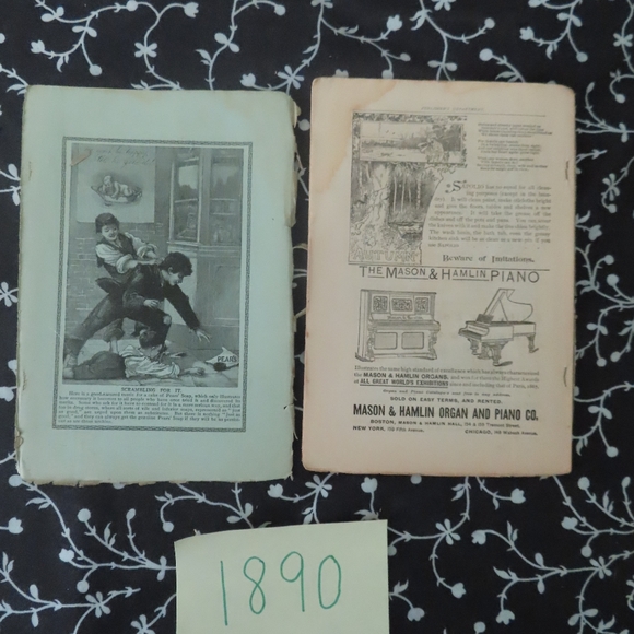 Vick's Illustrated Monthly Magazine  Lot x 33 1800s - Picture 10 of 12